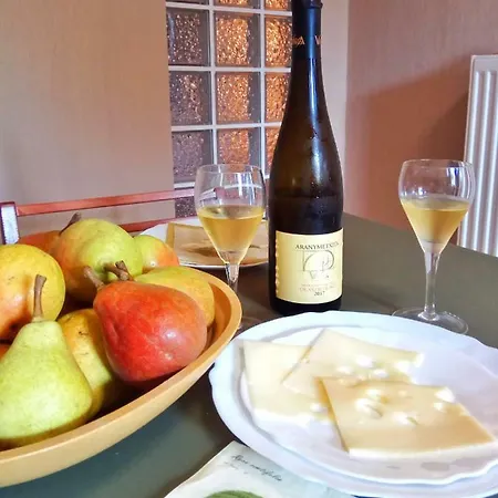 Karolyi Panzio Еґер